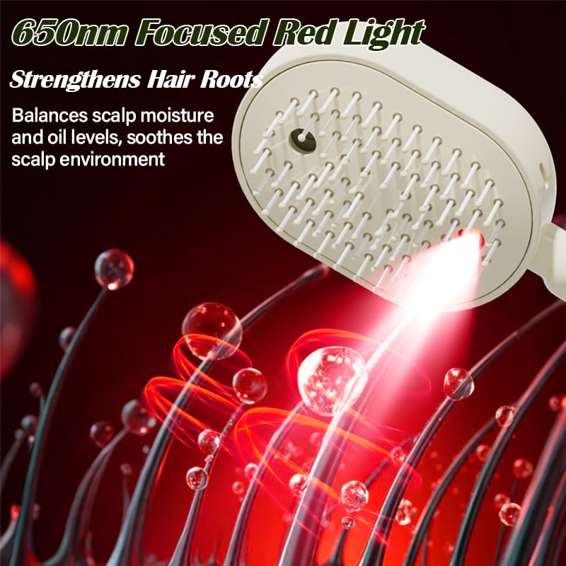 💆‍♀️ 2026 Electric Steaming Massage Hair Care Brush 💆‍♂️